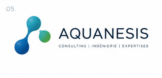 AQUANESIS — Consulting, Ingénierie, Expertises